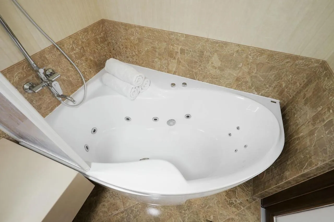 Borys Hotel Boryspil Airport 3*,  Ukraine